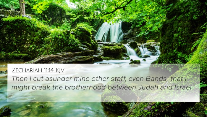Zechariah 11:14 KJV Bible Verse Image