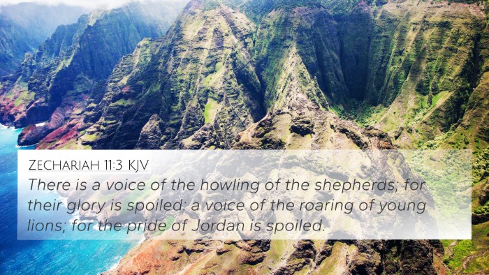 Zechariah 11:3 KJV Bible Verse Image
