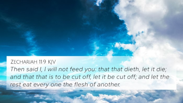Zechariah 11:9 KJV Bible Verse Image
