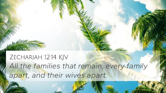 Zechariah 12:14 KJV 4K Wallpaper - All the families that remain, every family apart, - 4K Wallpaper Bible Verse