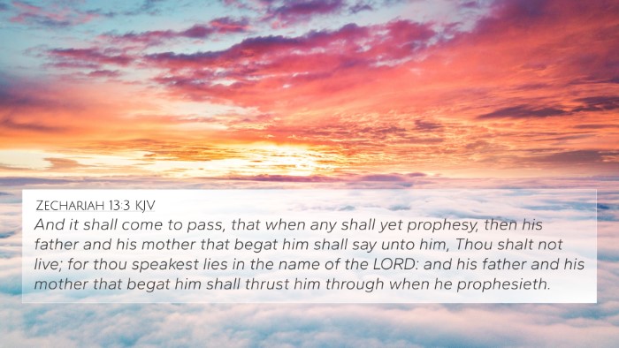 Zechariah 13:3 KJV Bible Verse Image