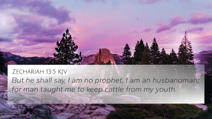 Zechariah 13:5 KJV Bible Verse Image