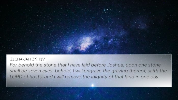 Zechariah 3:9 KJV Bible Verse Image