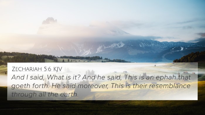 Zechariah 5:6 KJV Bible Verse Image