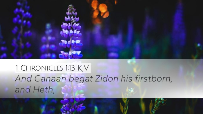 1 Chronicles 1:13 KJV Bible Verse Image