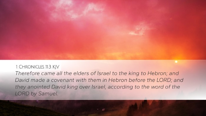 1 Chronicles 11:3 KJV Bible Verse Image