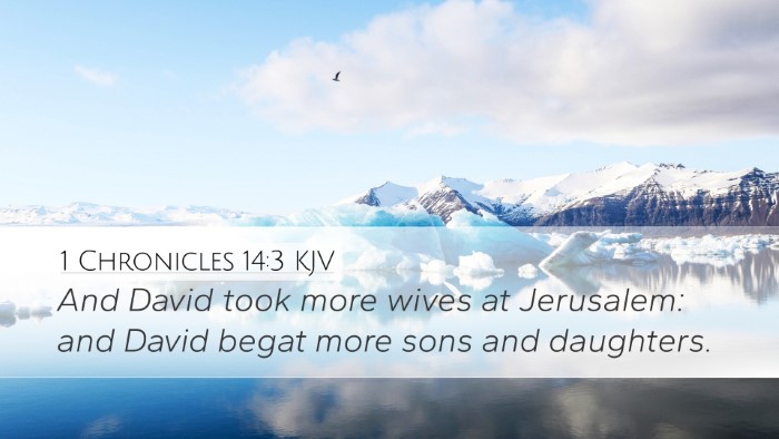 1 Chronicles 14:3 KJV Bible Verse Image