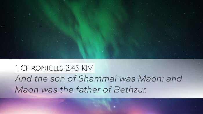 1 Chronicles 2:45 KJV Bible Verse Image
