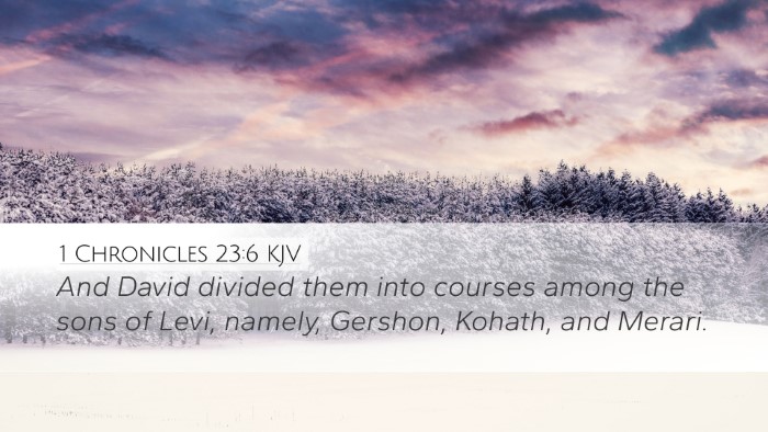 1 Chronicles 23:6 KJV Bible Verse Image