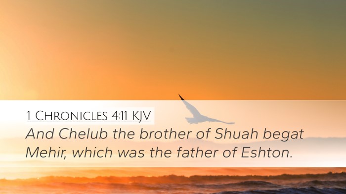 1 Chronicles 4:11 KJV Desktop Wallpaper - And Chelub the brother of Shuah begat Mehir, - Desktop Bible Verse Wallpaper