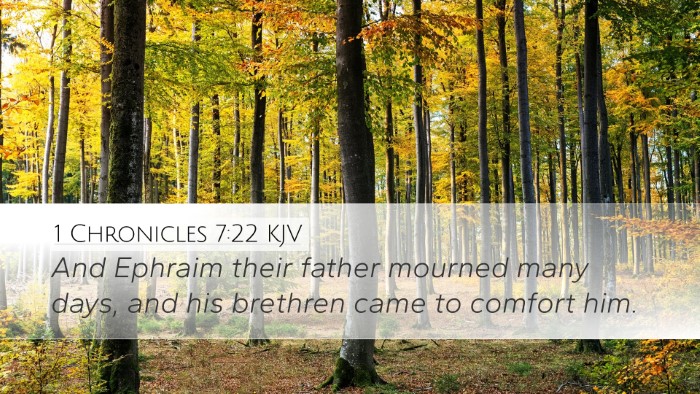 1 Chronicles 7:22 KJV Desktop Wallpaper - And Ephraim their father mourned many days, and - Desktop Bible Verse Wallpaper