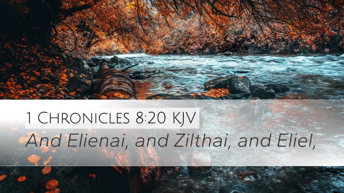 1 Chronicles 8:20 KJV Desktop Wallpaper - And Elienai, and Zilthai, and - Desktop Bible Verse Wallpaper