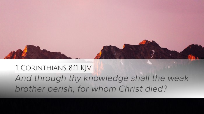 1 Corinthians 8:11 KJV Bible Verse Image