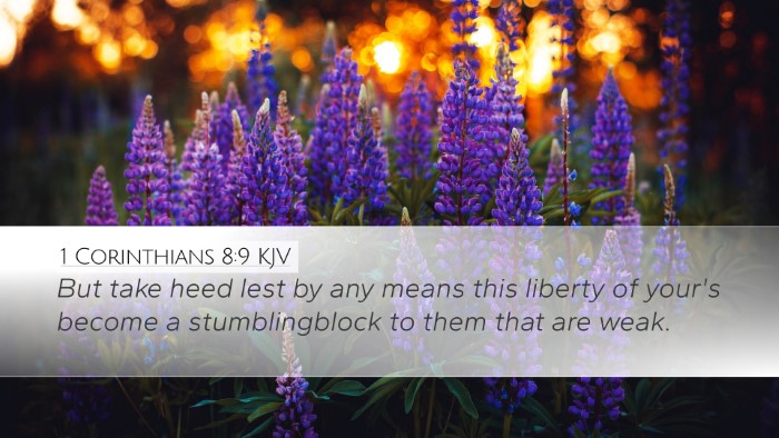 1 Corinthians 8:9 KJV Bible Verse Image