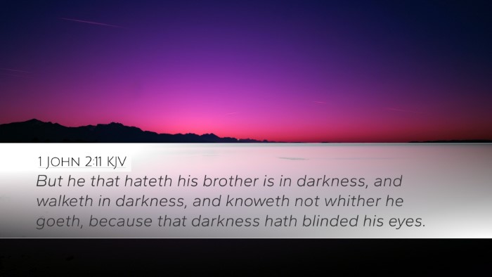 1 John 2:11 KJV Bible Verse Image