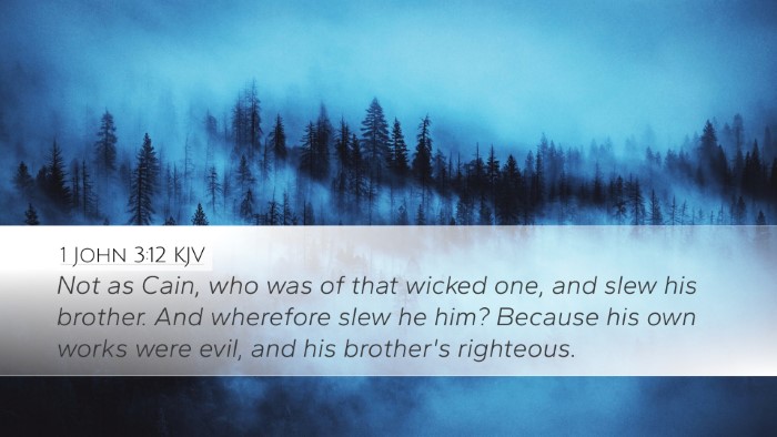 1 John 3:12 KJV Bible Verse Image
