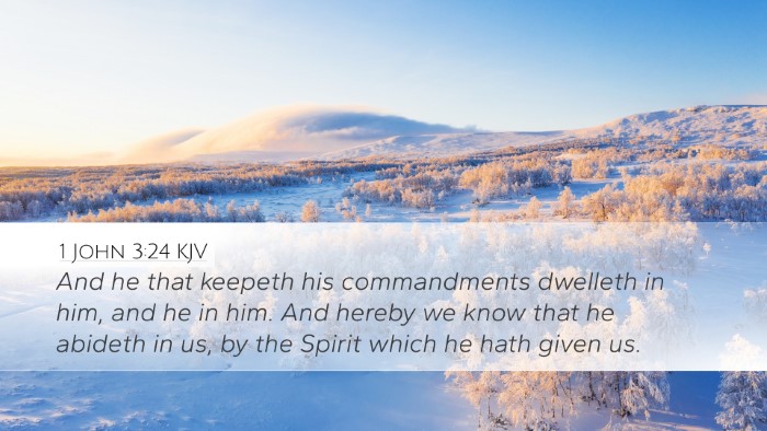 1 John 3:24 KJV Bible Verse Image
