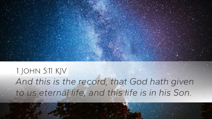 1 John 5:11 KJV Bible Verse Image