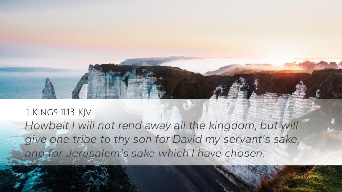 1 Kings 11:13 KJV Bible Verse Image