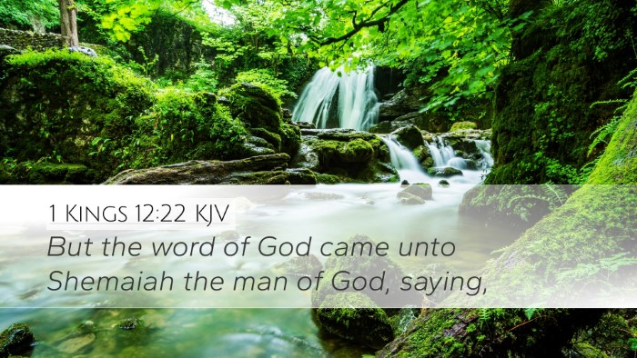 1 Kings 12:22 KJV Bible Verse Image