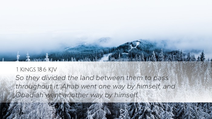 1 Kings 18:6 KJV Desktop Wallpaper - So they divided the land between them to pass - Desktop Bible Verse Wallpaper
