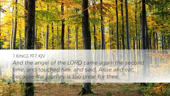 1 Kings 19:7 KJV Desktop Wallpaper - And the angel of the LORD came again the second - Desktop Bible Verse Wallpaper