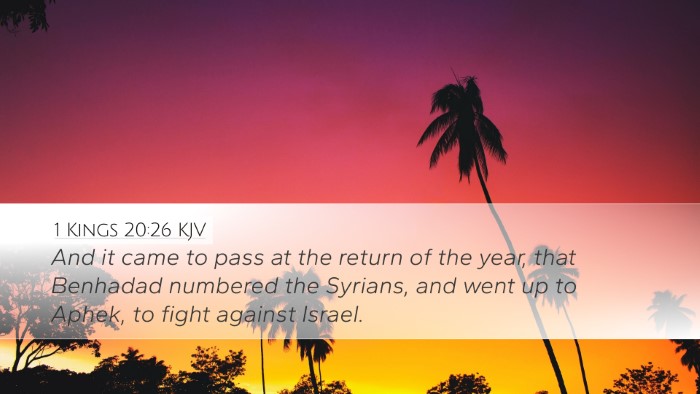 1 Kings 20:26 KJV Bible Verse Image