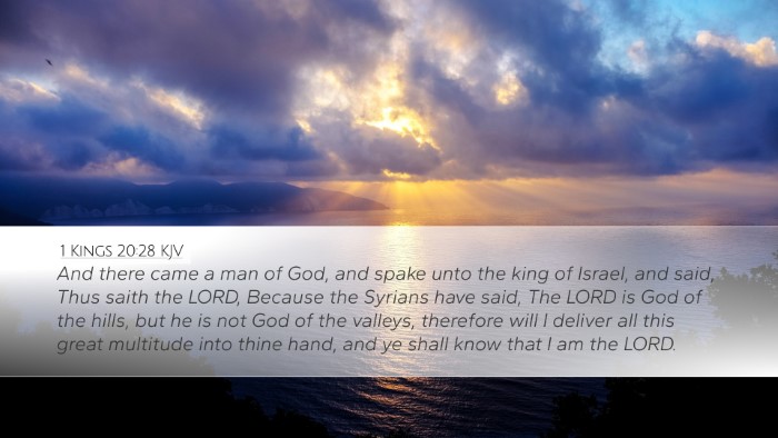 1 Kings 20:28 KJV Bible Verse Image