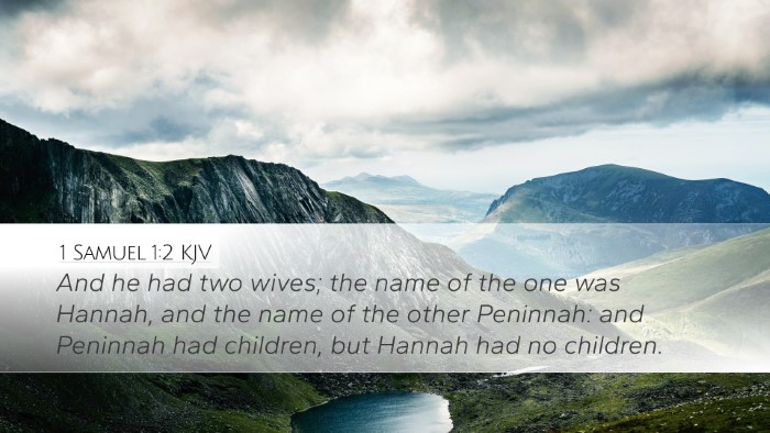 1 Samuel 1:2 KJV Bible Verse Image