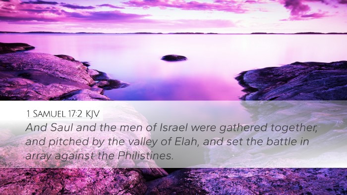 1 Samuel 17:2 KJV Bible Verse Image