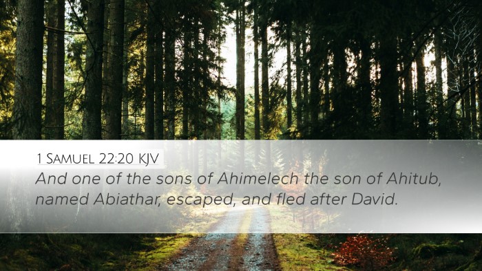 1 Samuel 22:20 KJV Bible Verse Image