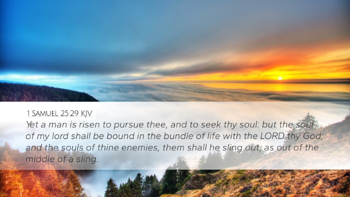 1 Samuel 25:29 KJV Bible Verse Image