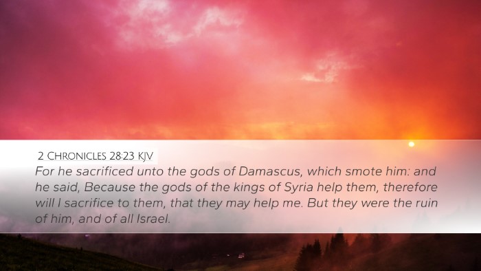 2 Chronicles 28:23 KJV Bible Verse Image