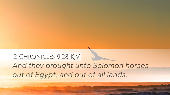 2 Chronicles 9:28 KJV Bible Verse Image