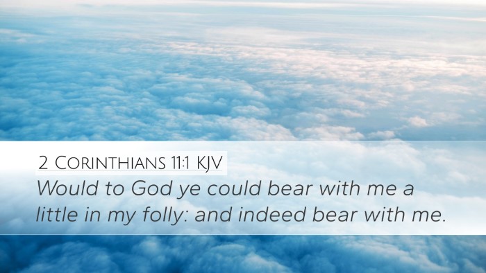 2 Corinthians 11:1 KJV Bible Verse Image