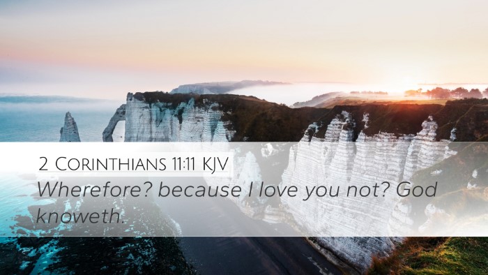2 Corinthians 11:11 KJV Bible Verse Image
