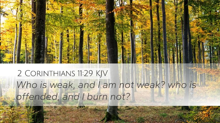 2 Corinthians 11:29 KJV Bible Verse Image