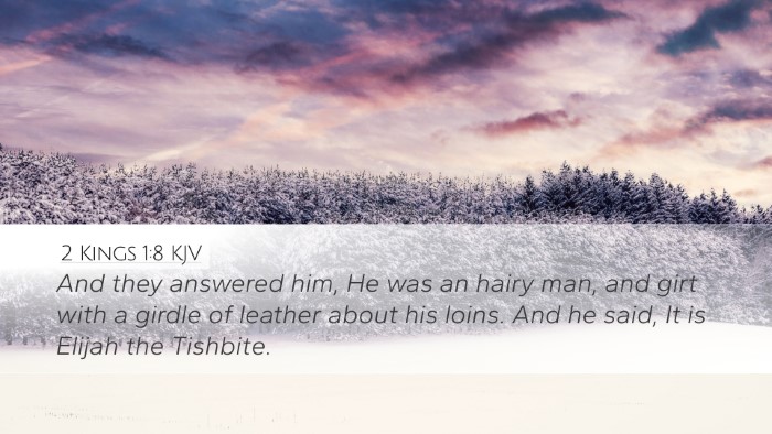 2 Kings 1:8 KJV Bible Verse Image