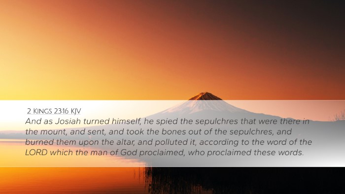 2 Kings 23:16 KJV Bible Verse Image