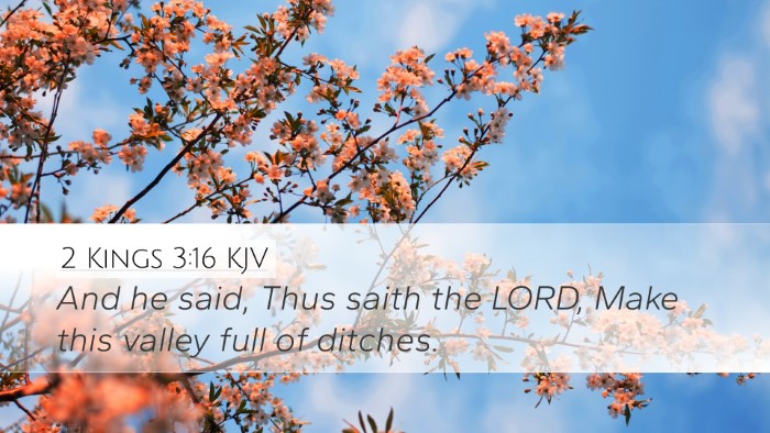 2 Kings 3:16 KJV Bible Verse Image
