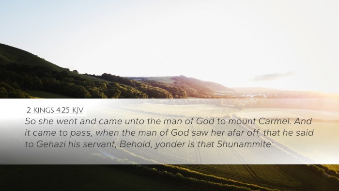 2 Kings 4:25 KJV Bible Verse Image