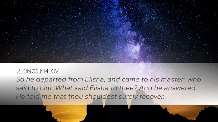 2 Kings 8:14 KJV Bible Verse Image