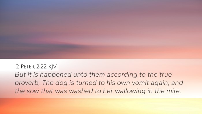 2 Peter 2:22 KJV Bible Verse Image