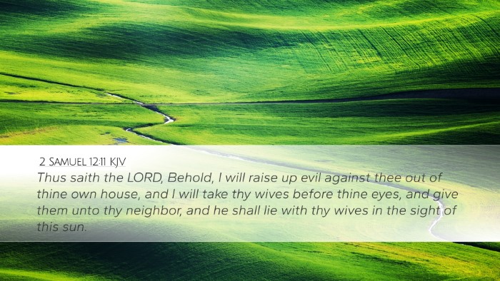 2 Samuel 12:11 KJV Bible Verse Image