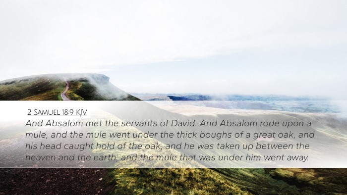 2 Samuel 18:9 KJV Bible Verse Image