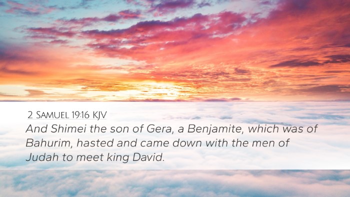 2 Samuel 19:16 KJV Bible Verse Image