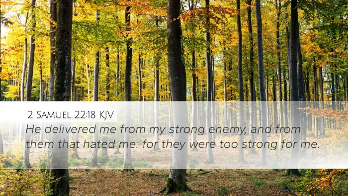 2 Samuel 22:18 KJV Desktop Wallpaper - He delivered me from my strong enemy, and from - Desktop Bible Verse Wallpaper