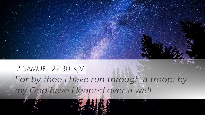 2 Samuel 22:30 KJV Bible Verse Image