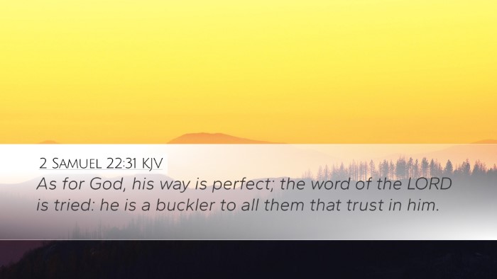2 Samuel 22:31 KJV Bible Verse Image