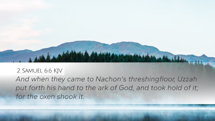 2 Samuel 6:6 KJV Bible Verse Image